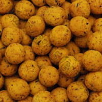 Legendární boilies ořech NUTRA NUT